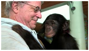 Steven Wise and the Smart Chimp